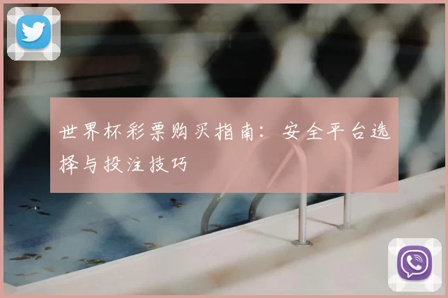 世界杯彩票购买指南:安全平台选择与投注技巧