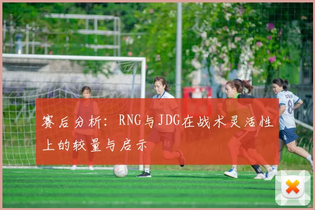 赛后分析：RNG与JDG在战术灵活性上的较量与启示