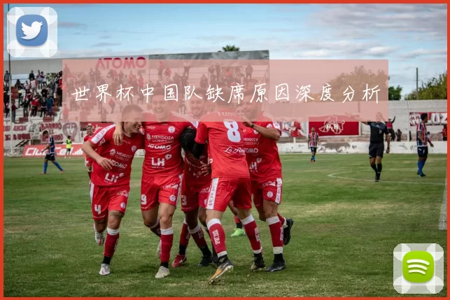 世界杯中国队缺席原因深度分析