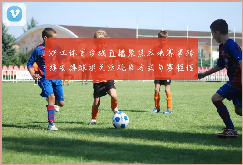 浙江体育台线直播聚焦本地赛事转播安排球迷关注观看方式与赛程信息